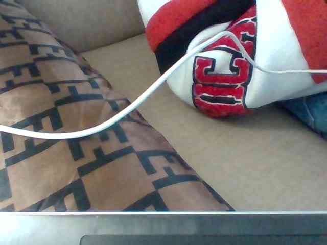 Dollie webcam