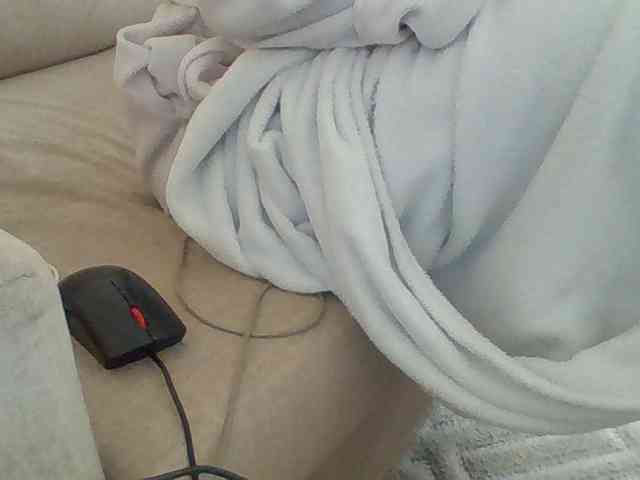 Dollie webcam