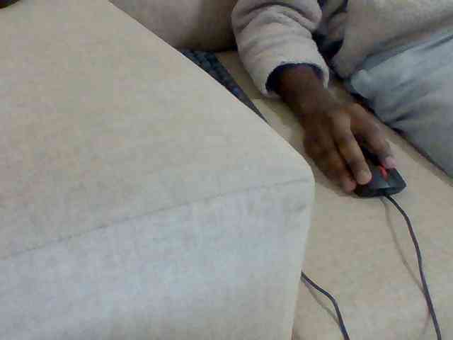 Dollie webcam
