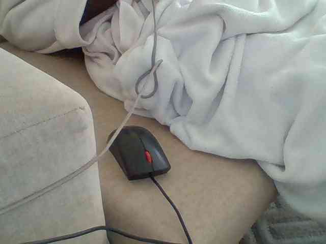 Dollie webcam