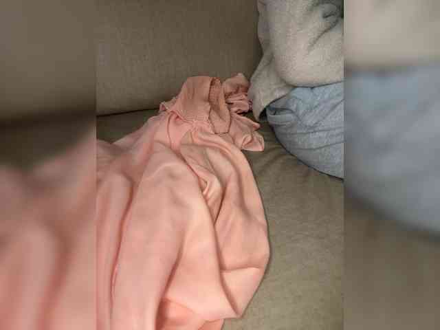 Dollie webcam