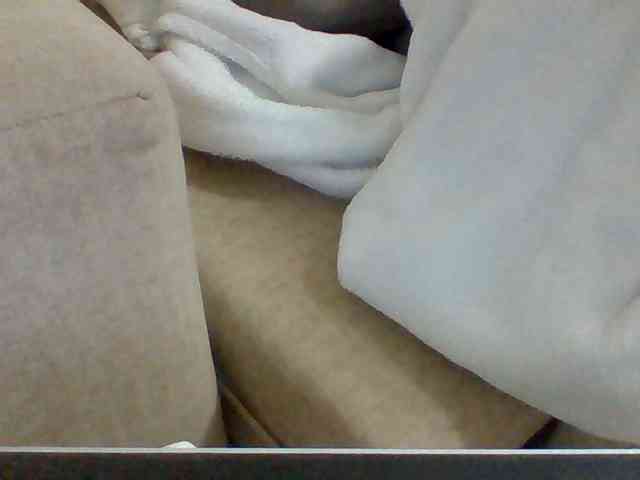 Dollie webcam