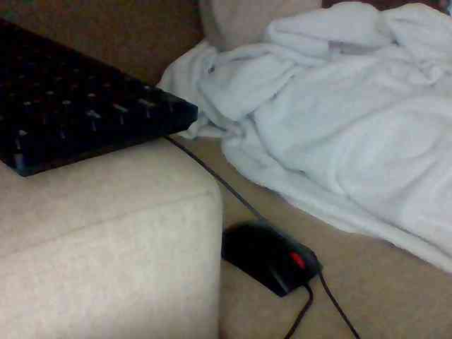 Dollie webcam