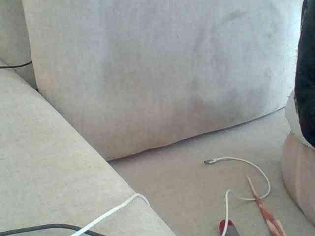 Dollie webcam