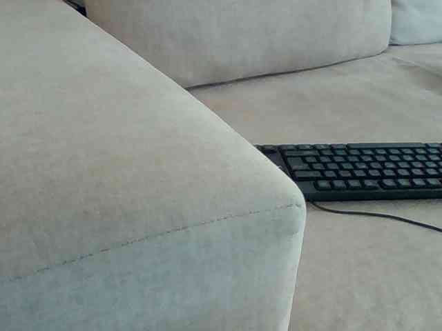 Dollie webcam