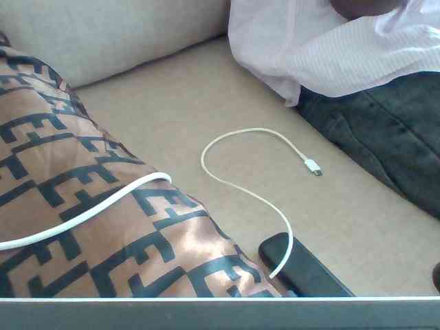 Dollie webcam