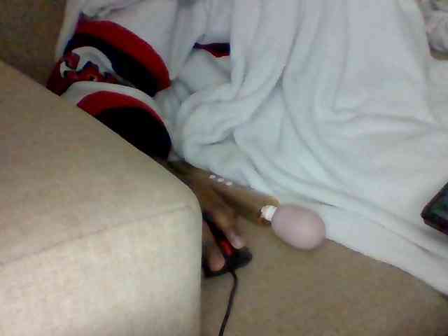 Dollie webcam