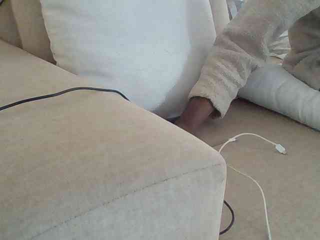 Dollie webcam