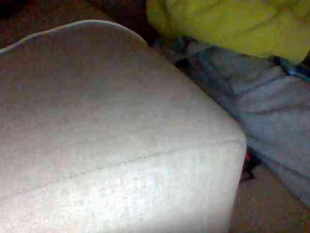 Dollie webcam