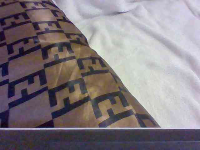 Dollie webcam
