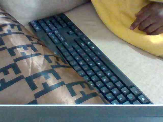 Dollie webcam