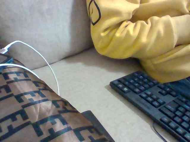 Dollie webcam