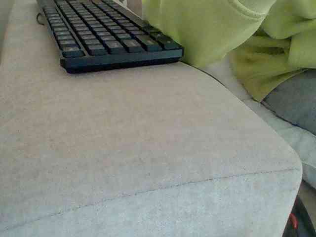 Dollie webcam