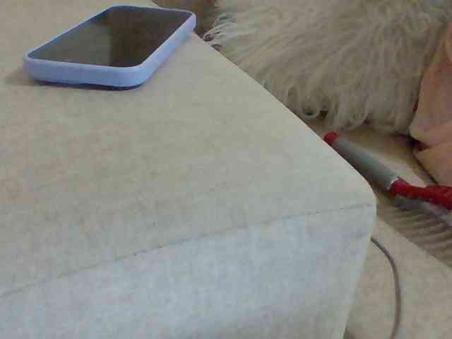 Dollie webcam