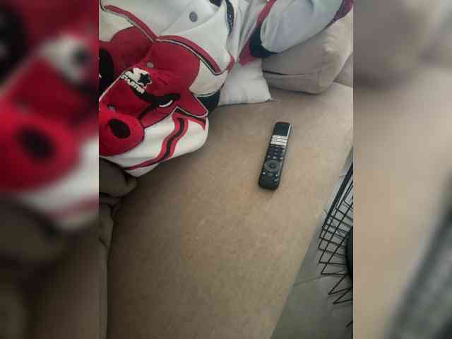 Dollie webcam