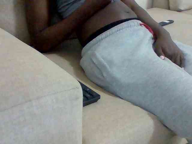 Dollie webcam