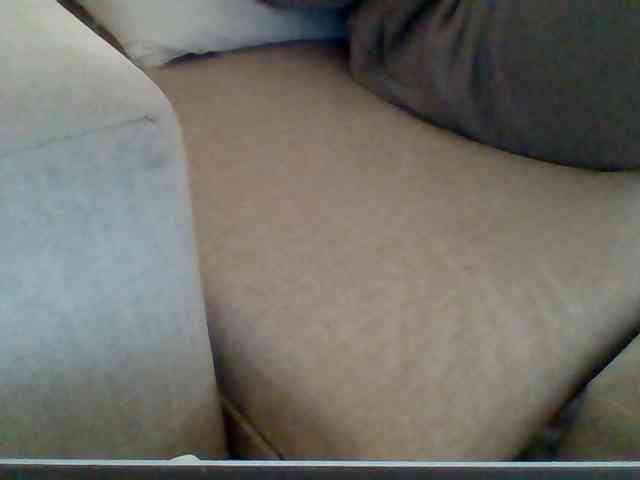Dollie webcam