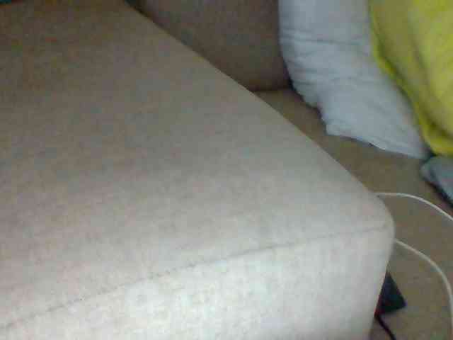 Dollie webcam