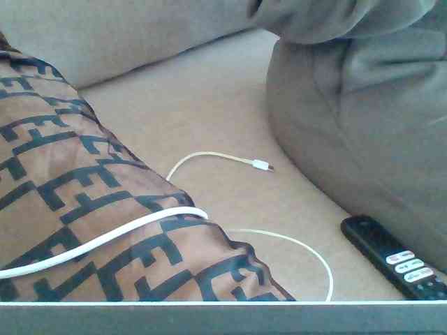 Dollie webcam