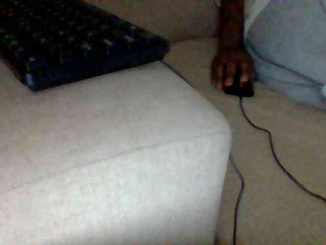 Dollie webcam