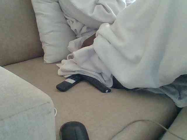 Dollie webcam