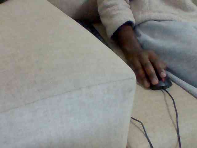 Dollie webcam