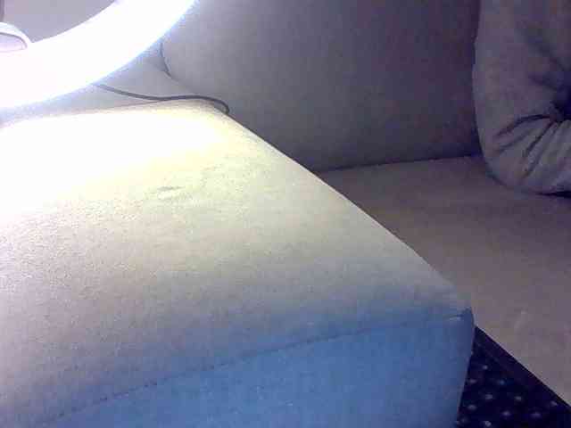 Dollie webcam