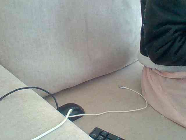 Dollie webcam