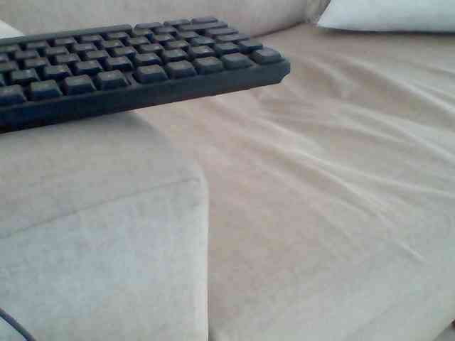 Dollie webcam