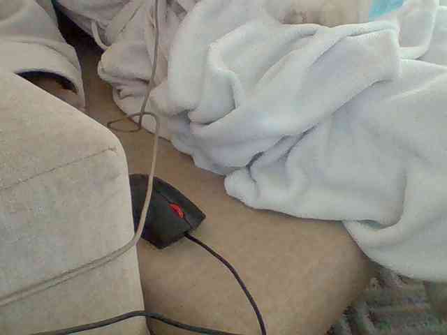 Dollie webcam