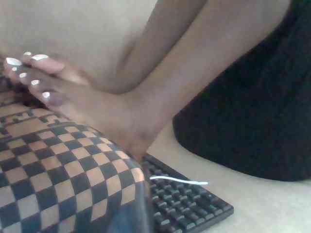 Dollie webcam