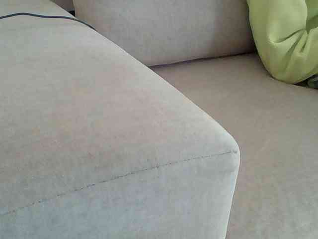 Dollie webcam