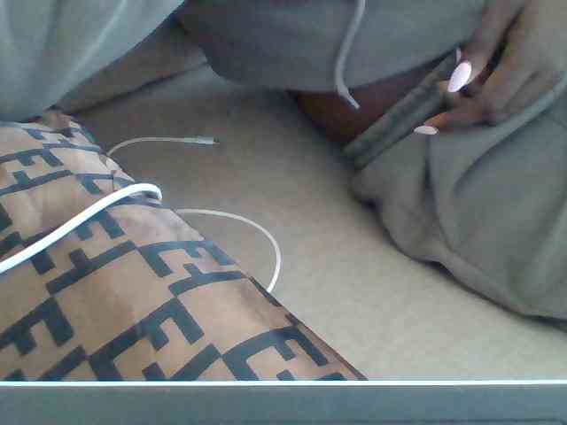 Dollie webcam