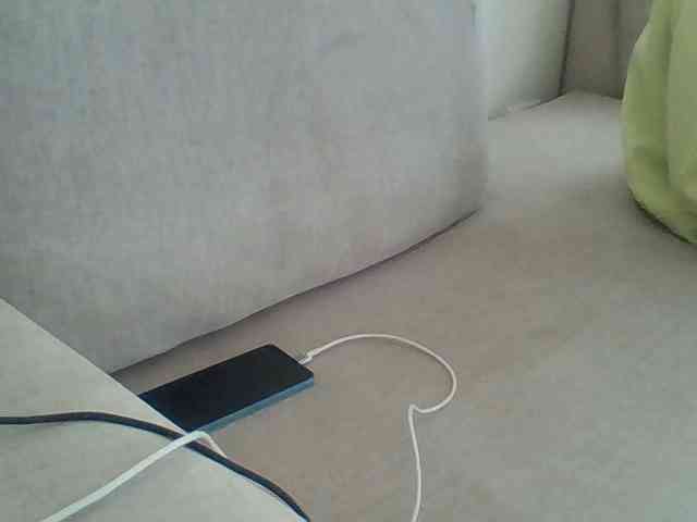 Dollie webcam
