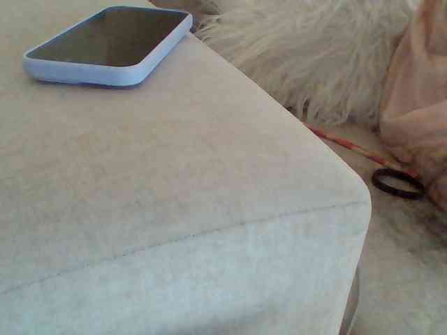 Dollie webcam