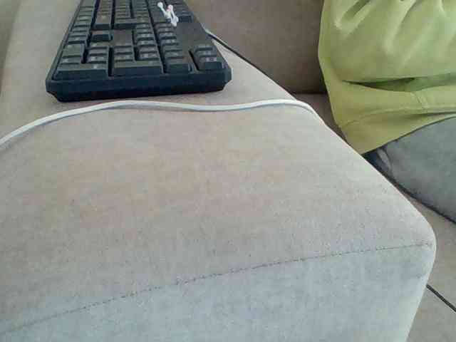Dollie webcam