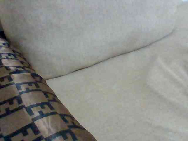 Dollie webcam