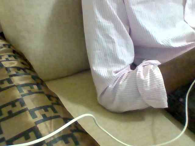 Dollie webcam