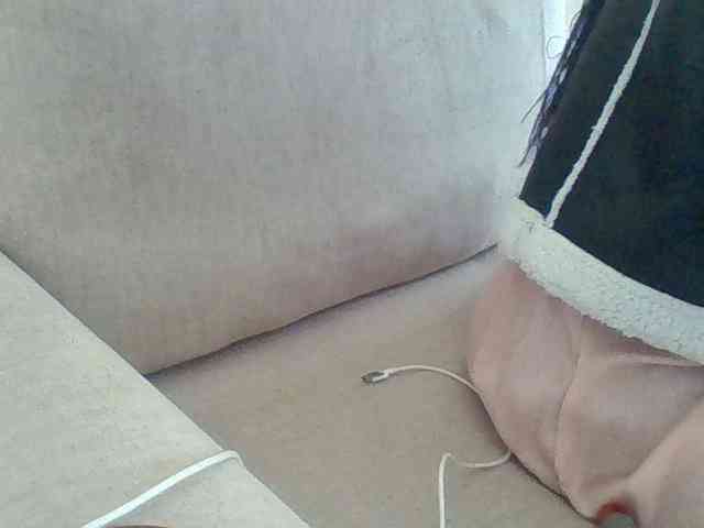 Dollie webcam