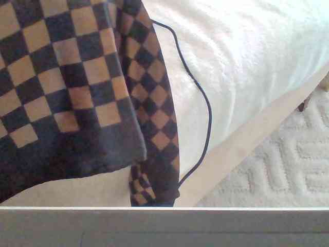 Dollie webcam