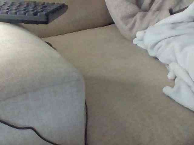 Dollie webcam