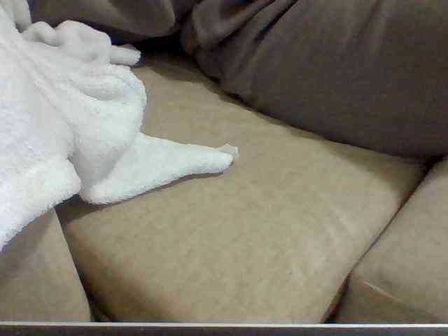 Dollie webcam