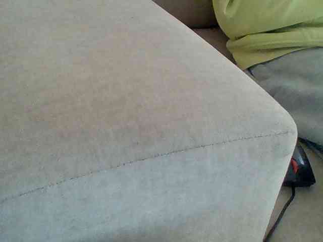 Dollie webcam