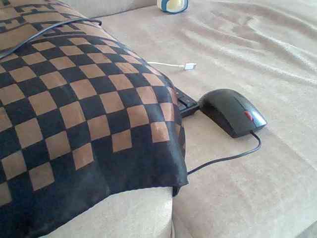 Dollie webcam
