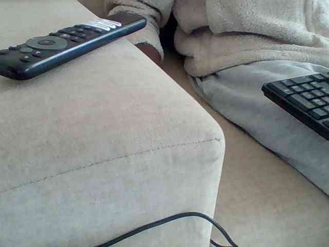 Dollie webcam