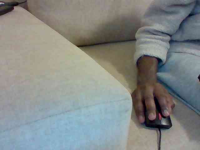 Dollie webcam