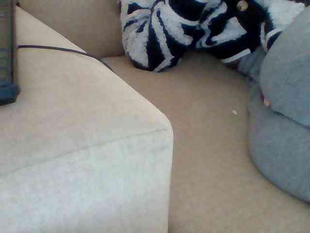 Dollie webcam