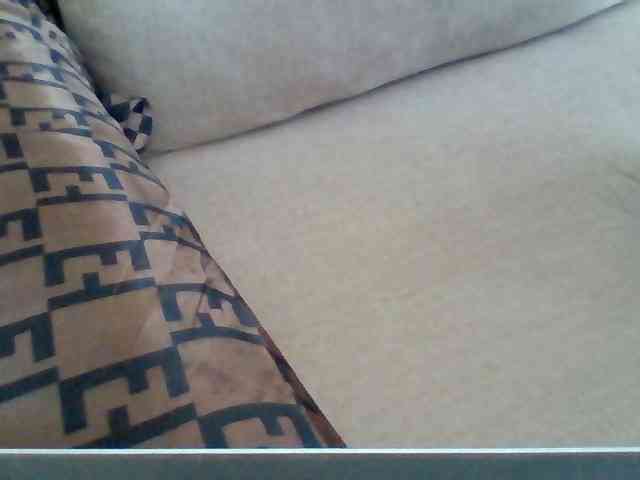 Dollie webcam