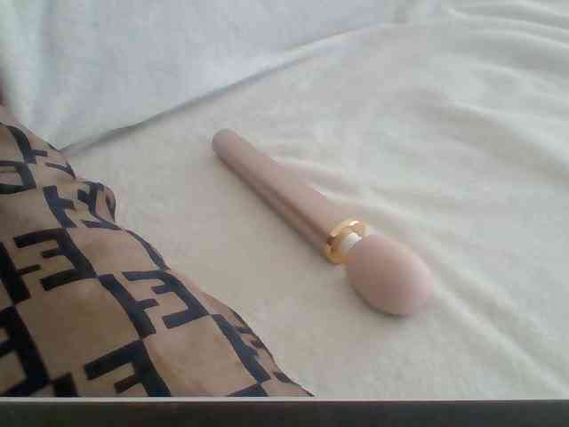 Dollie webcam