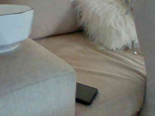Dollie